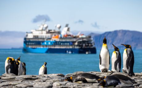эпическое приключение в Антарктике и Южной Георгии